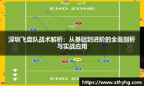 深圳飞盘队战术解析：从基础到进阶的全面剖析与实战应用